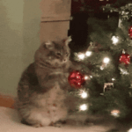 Bildquellennachweise 1 weihnachten